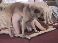 Her large pet is giving the tit cougar a fantastic doggy position fuck.